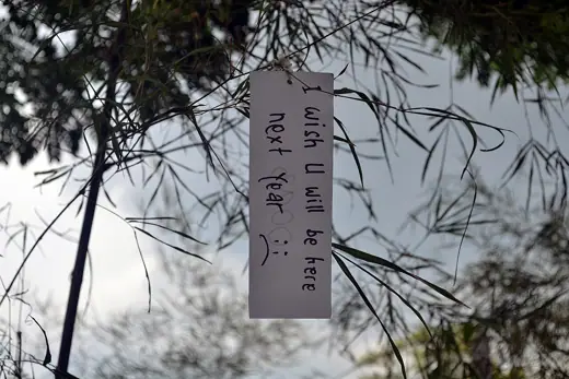 Photo 4: Exterior · A hope from unknown wishing someone should be there in the following year hanged in a branch of bamboo