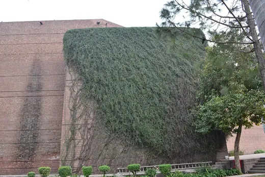 Photo 3: Exterior · Alhamra art center-creeper