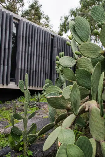 Photo 2: Exterior · Espacio Ecológico Anahuacalli