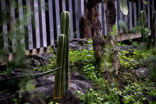 Photo 3: Exterior · Espacio Ecológico Anahuacalli
