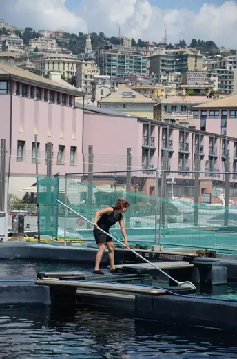 Photo 3: Exterior · Dolfijnenverblijf van het aquarium van Genua, 2014