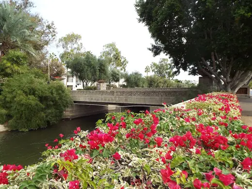 Photo 4: Exterior