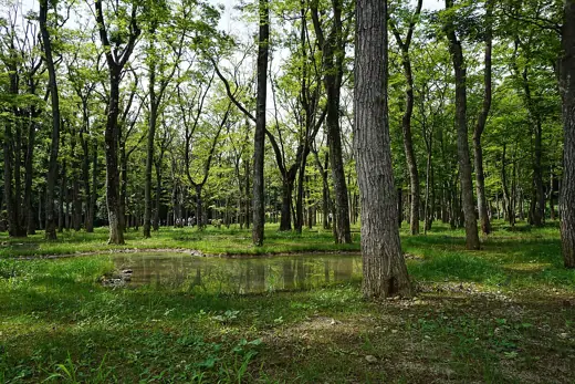 Photo 2: Context · The botanical garden Water Garden of Art Biotop Nasu in Nasu , Tochigi prefecture , Japan 