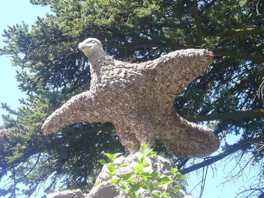 Photo 4: Detail