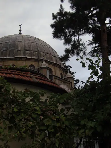 Photo 3: Exterior