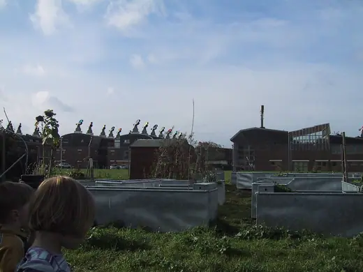 Photo 5: Context · The view from the bench we built yesterday across the pig trough allotments towards BedZED