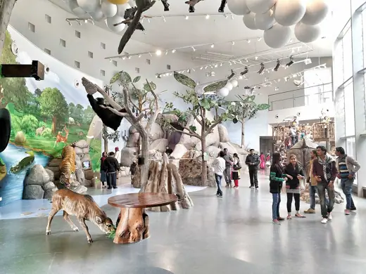 Photo 7: Interior · Bihar Museum Children and Wildlife Section