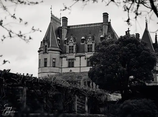 Photo 4: Exterior