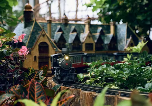 Photo 7: Model