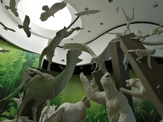 Photo 3: Exterior · Sala del Biomuseo en la Ciudad de Panamá