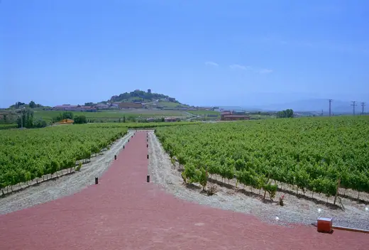 Photo 2: Exterior · Bodegas Ysios LSI La Rioja