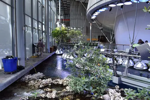 Photo 5: Interior · California Academy of Sciences - Interior