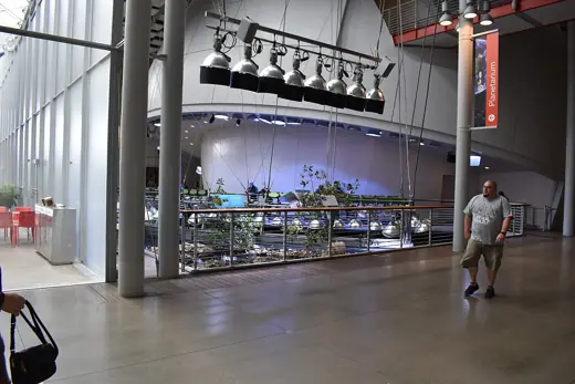 Photo 6: Interior · California Academy of Sciences - Interior
