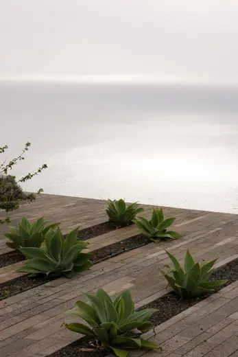Photo 2: Exterior · Calheta - Roof of Casa das Mudas Art Centre