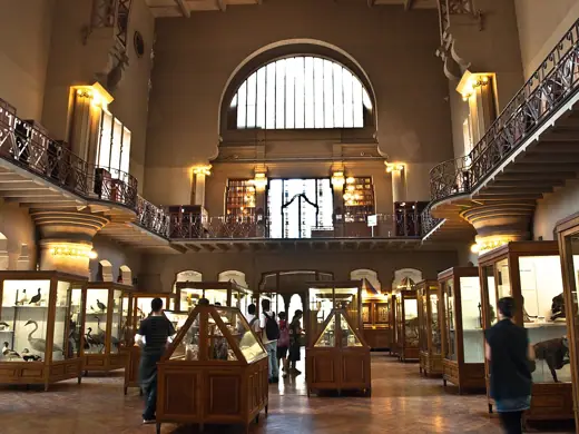 Photo 5: Interior