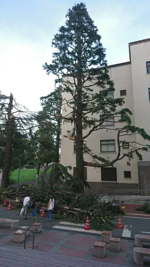 Photo 2: Exterior