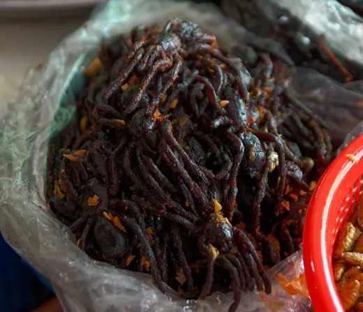Photo 4: Exterior · Spiders for eating at the Central Market in Phnom Penh