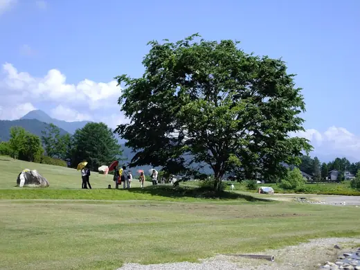 Photo 4: Exterior
