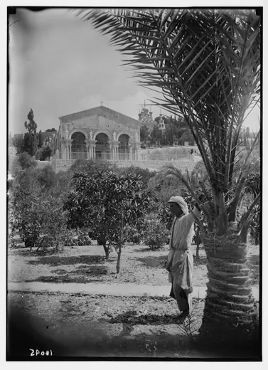 Photo 3: Exterior · Title: Basilica of Gethsemane [i.e., Church of All Nations or Church of the Agony] Abstract/medium: G