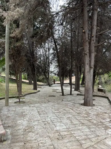 Photo 6: Interior