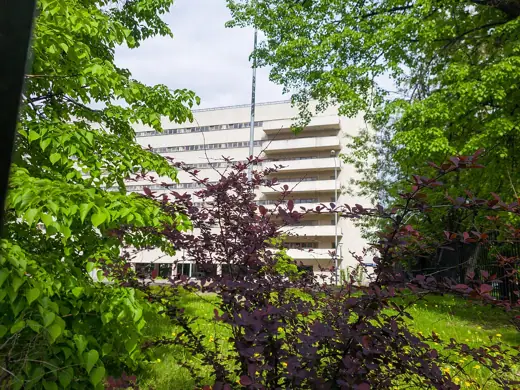 Photo 4: Exterior