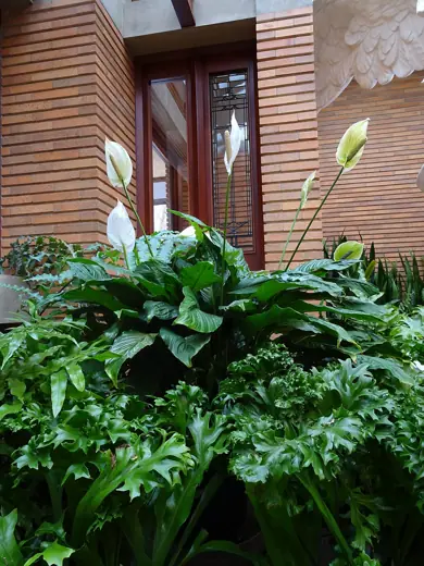 Photo 4: Exterior · Conservatory at the Darwin D