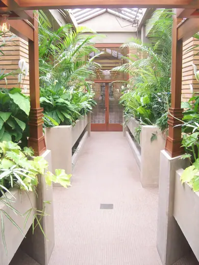 Photo 5: Interior · Photo of the conservatory looking towards the pergola in the Darwin D Martin House by Frank Lloyd Wright
