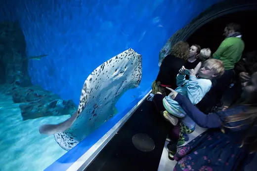 Photo 6: Interior · "The Blue Planet" the new National Aquarium, near Copenhagen