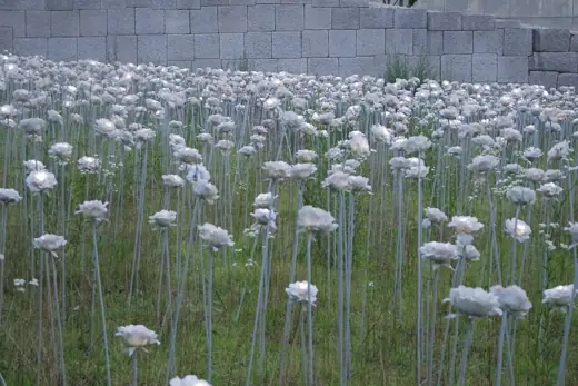 Photo 2: Interior · Garden of white roses with lights inside