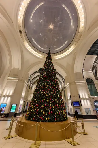 Photo 6: Interior · Christmas tree in the Dresden central station