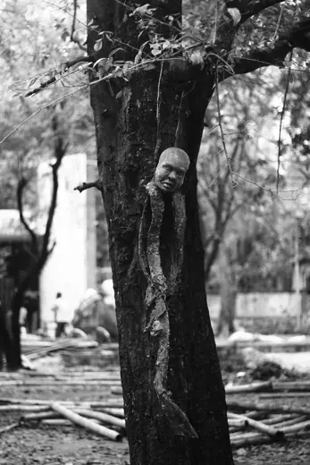 Photo 6: Interior · This photo was taken inside the premises of The Faculty of Fine Arts of Dhaka University