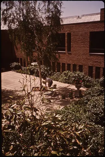 Photo 5: Interior