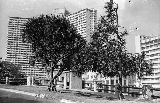 Photo 4: Exterior · a FOCSA épület a Malecón felől nézve