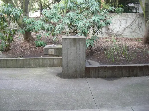 Photo 4: Detail