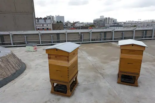 Photo 2: Exterior · Artificial beehive @ Terrace @ Headquarters @ French Communist Party @ Paris