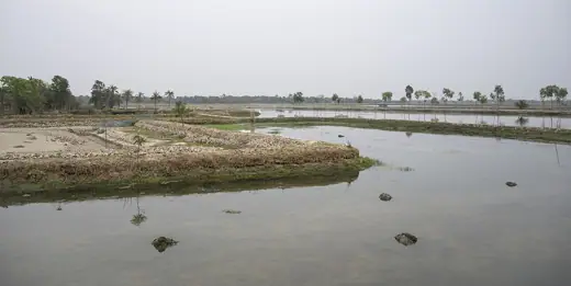Photo 3: Context · Rural landscape in Shyamnagar Upazila in Bangladesh as seen from Friendship Hospital Shyamnagar