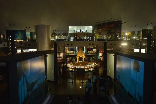 Photo 4: Interior