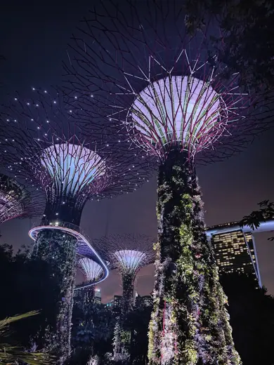 Photo 4: Interior · Beautiful lighting made inside Gardens by the Bay near Marina Bay Sands in Singapore