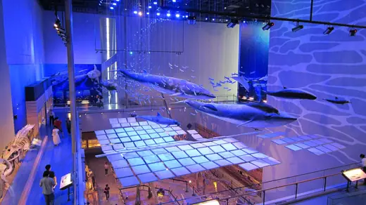 Photo 5: Interior