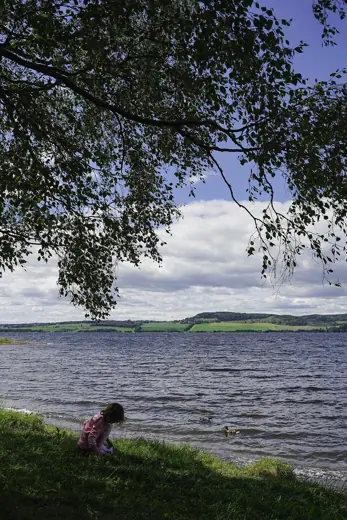 Photo 4: Exterior · Under a birch by Lake Mjosa