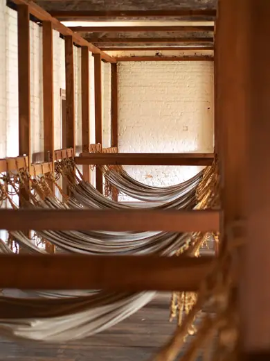Photo 4: Interior