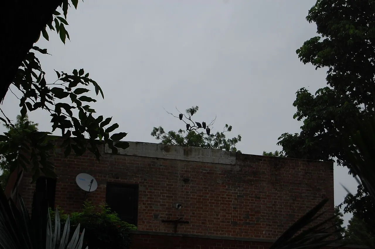 IIM Ahmedabad: Exterior · Fauna on campus
