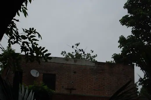 Photo 2: Exterior · Fauna on campus