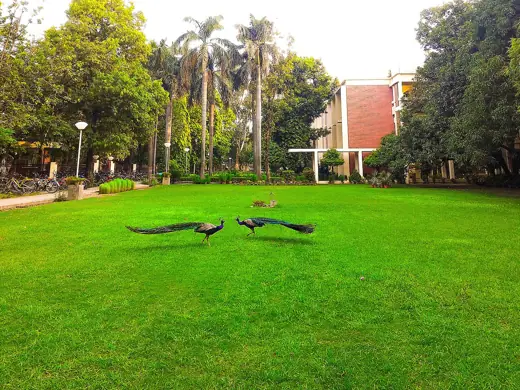 Photo 5: Interior · Hall-2 Lawn
