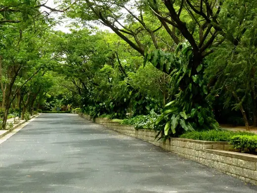 Photo 5: Context · IIM Bangalore campus