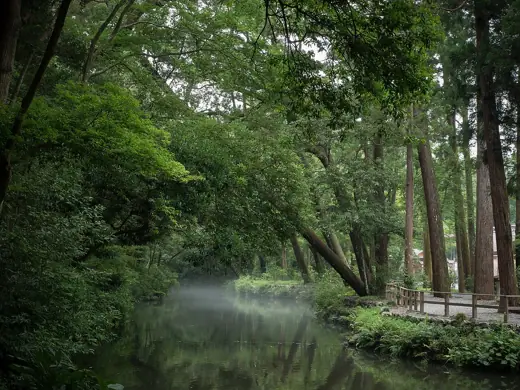 Photo 4: Exterior · Mist of the Gods (pond at Ise Grand Shrine at 5 am), Mie Prefecture, Japan