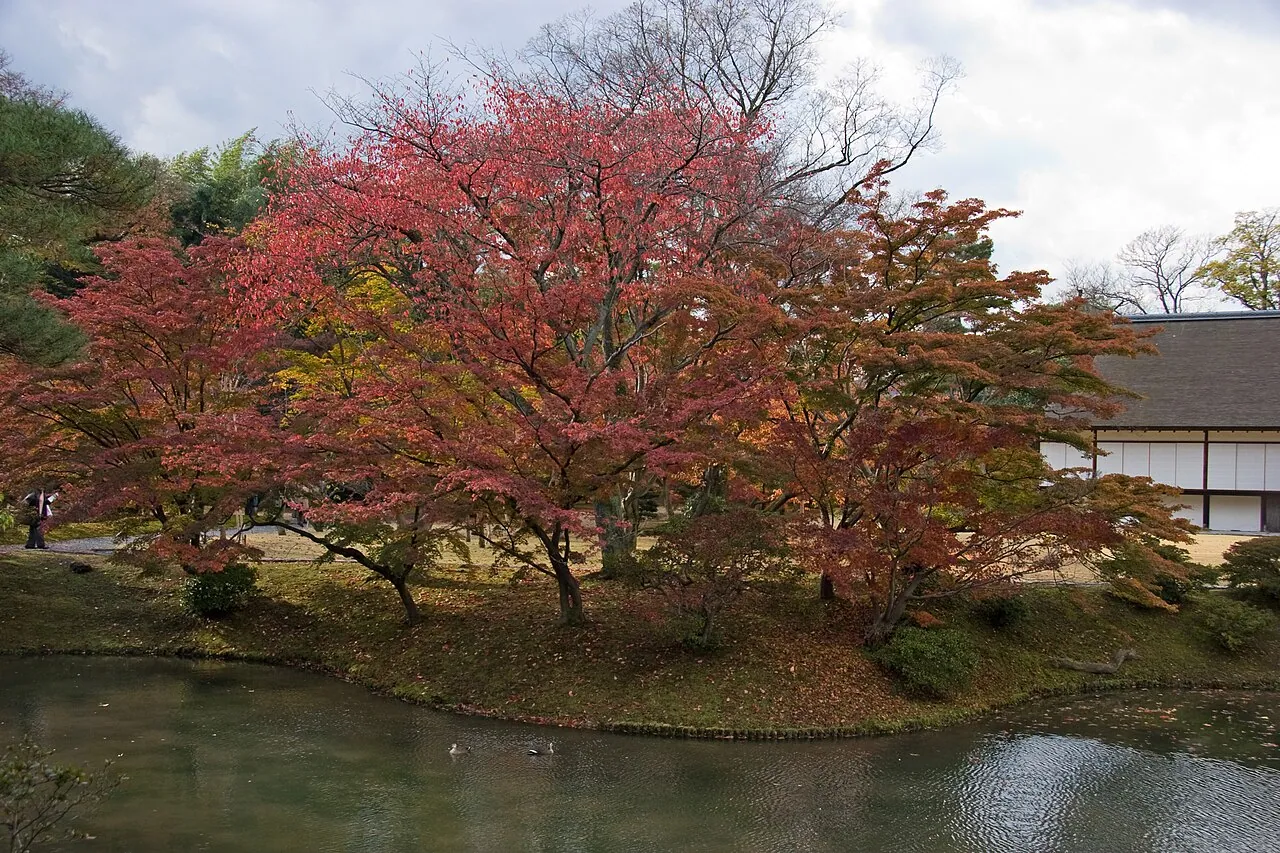 Katsura Imperial Villa: Exterior · Katsura Rikyu