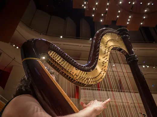 Photo 5: Interior · Harpist in the hall of the Lucerne Cultural and Convention Center