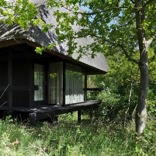Photo 3: Exterior
