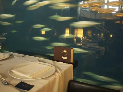 Photo 6: Interior · L'Oceanografic, Valencia